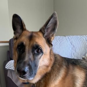 Meet your Posher, Roberta